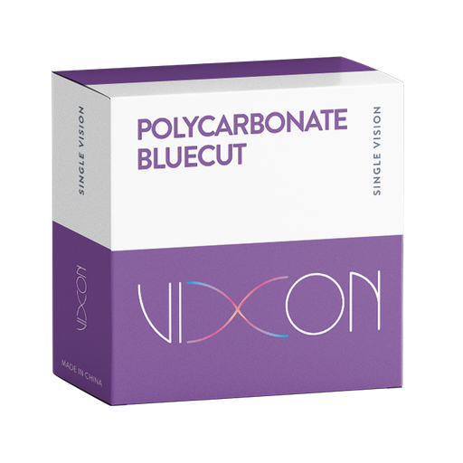 POLICARBONATO BLUECUT BLOCOS VISÃO SIMPLES